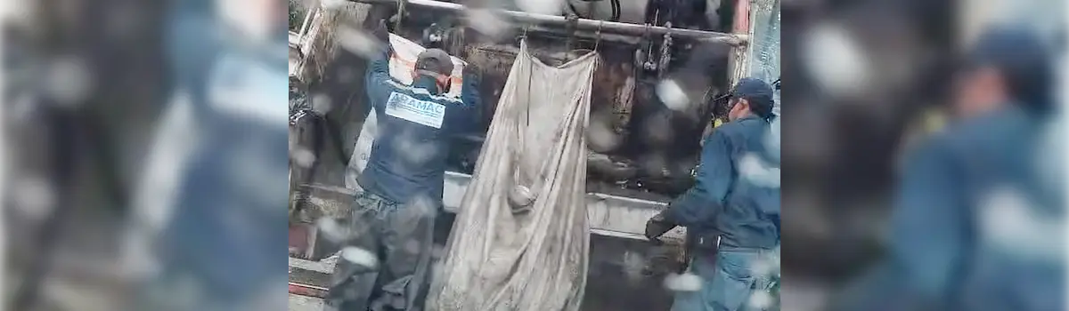 Recolección de residuos en municipios aledaños